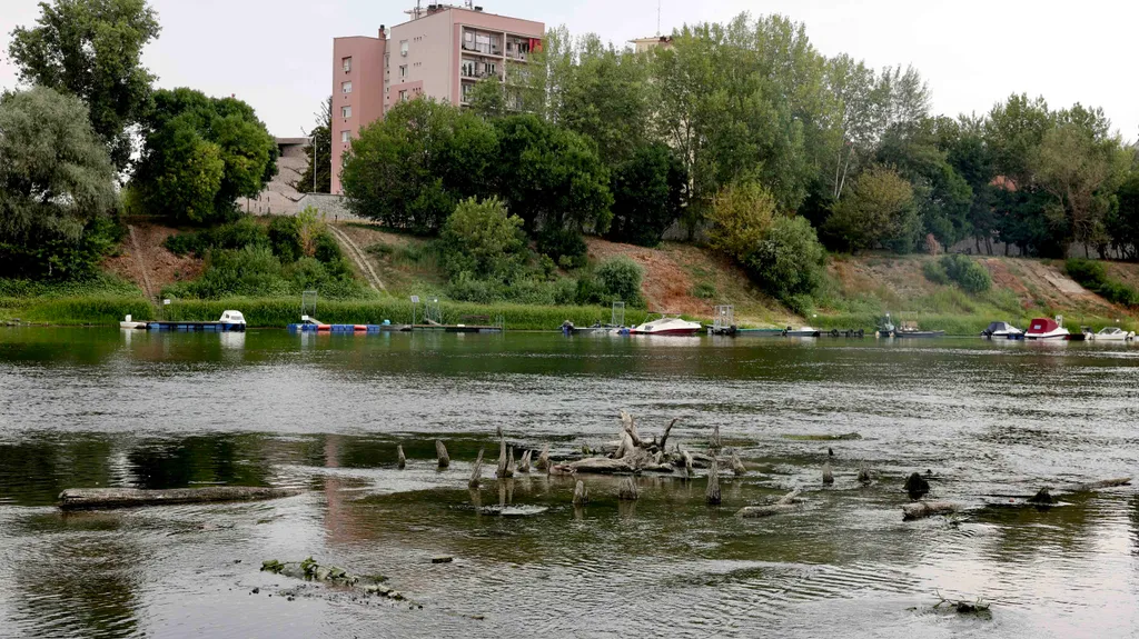 Szolnok, Tisza, török kori fahíd cölöpök, török kori fahíd cölöp, törökkorifahíd, SzolnokTisza, 2026.08.07.,