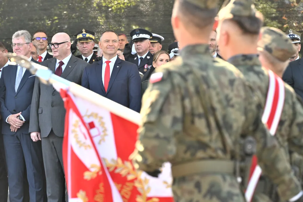 Lengyel Fegyveres erők napja