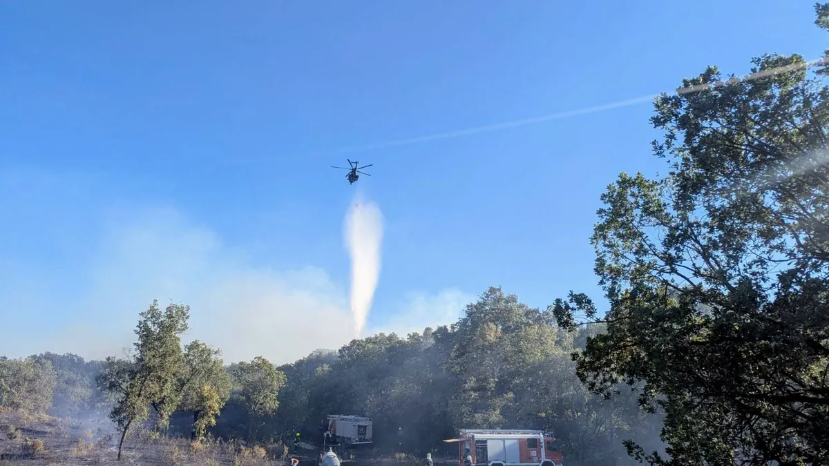Erdőtűz pusztított Várpalota, Öskü és Sóly térségében, csaknem 190 hektár égett. A tűzoltást két honvédségi helikopter és több mint száz tűzoltó segítette.