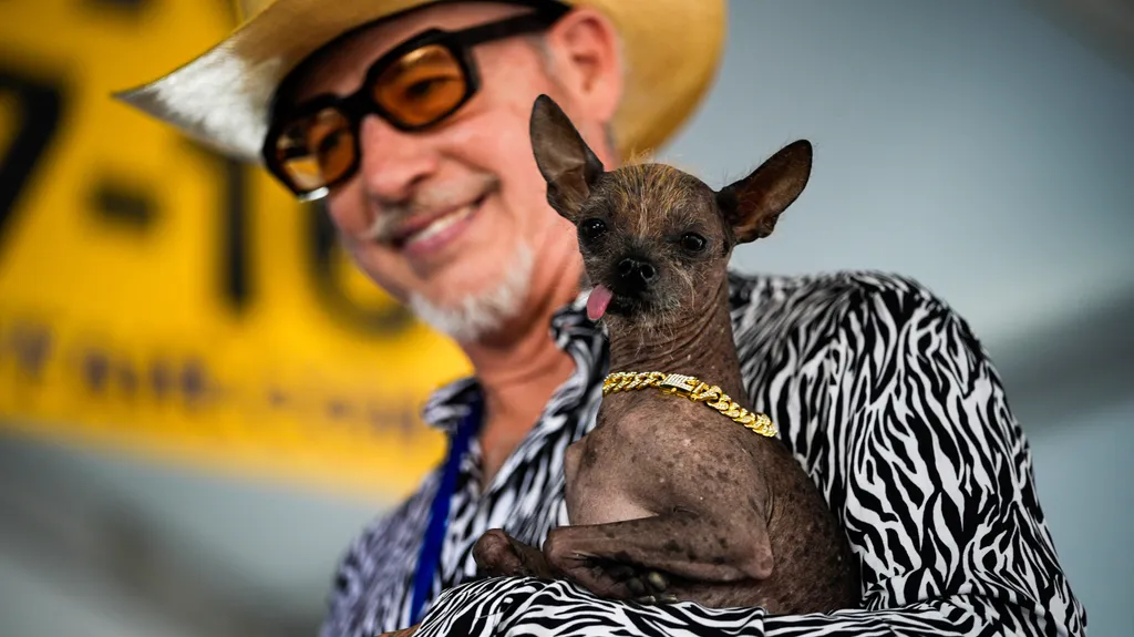 World's Ugliest Dog' contest 2026 in California
