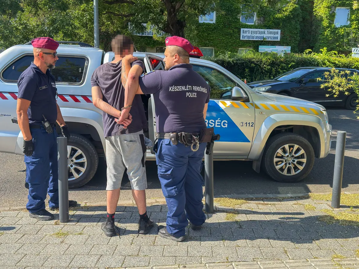 A razzia első 30 napján 252 személyt elfogtak, 195-öt előállítottak