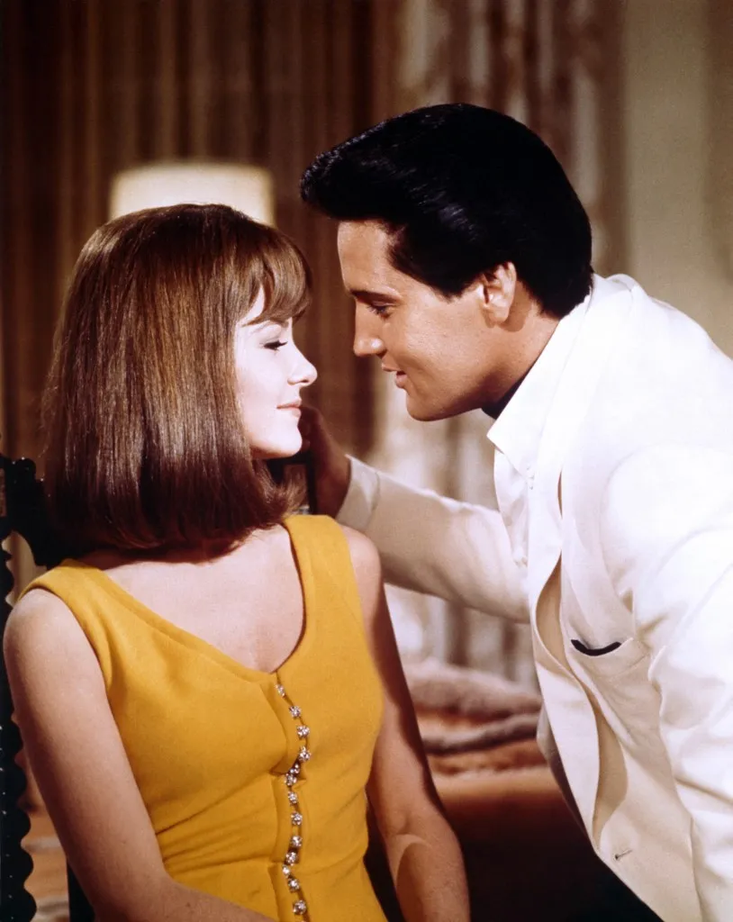 LE TOMBEUR DE CES DEMOISELLES
SPINOUT
1966
de Norman Taurog
Shelley Fabares
Elvis Presley.
autres titres: California Holiday, Raceway (USA-working title)
COLLECTION CHRISTOPHEL © Euterpe Inc. - Metro-Goldwyn-Mayer (Photo by Euterpe Inc. - Metro-Goldwyn-May / Collection ChristopheL via AFP)