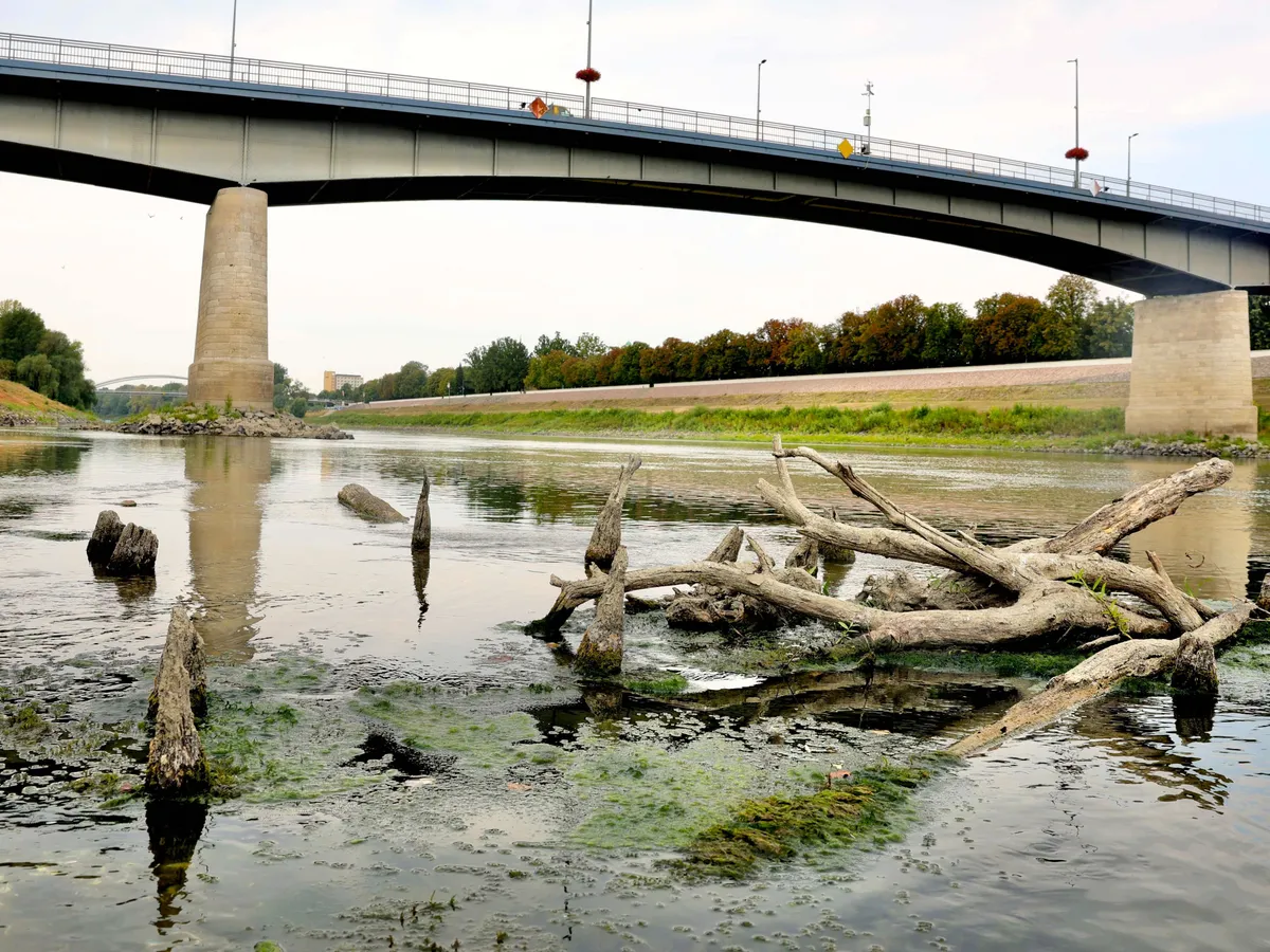 tisza