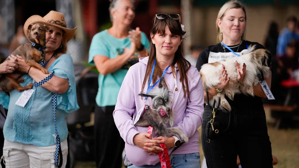 World's Ugliest Dog' contest 2026 in California