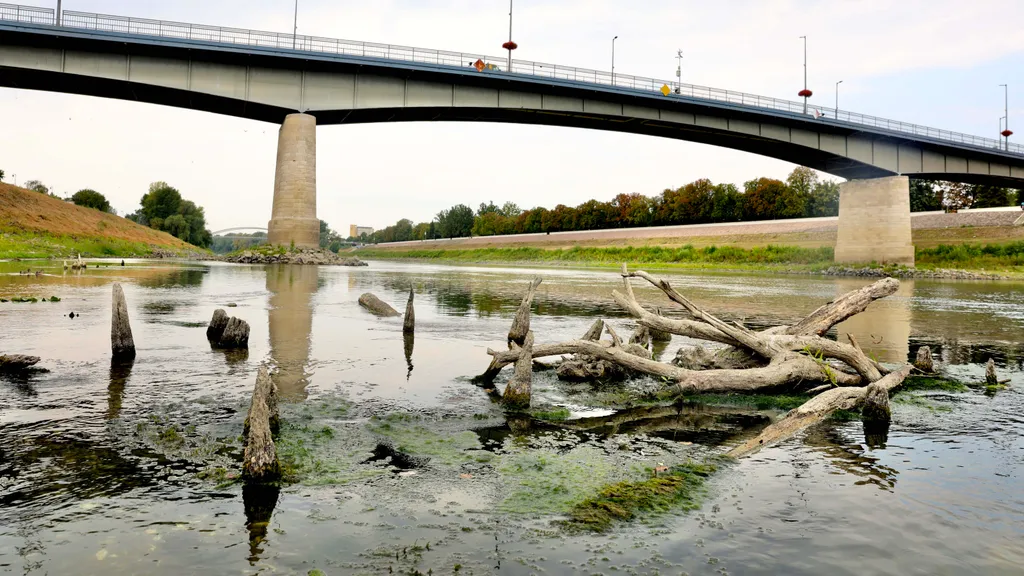 Szolnok, Tisza, török kori fahíd cölöpök, török kori fahíd cölöp, törökkorifahíd, SzolnokTisza, 2026.08.07.,