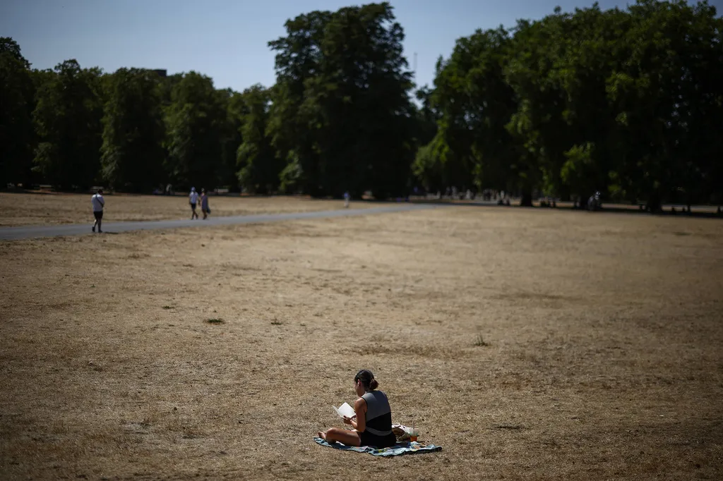 Kiszáradt Greenwich Parkban piknikezők