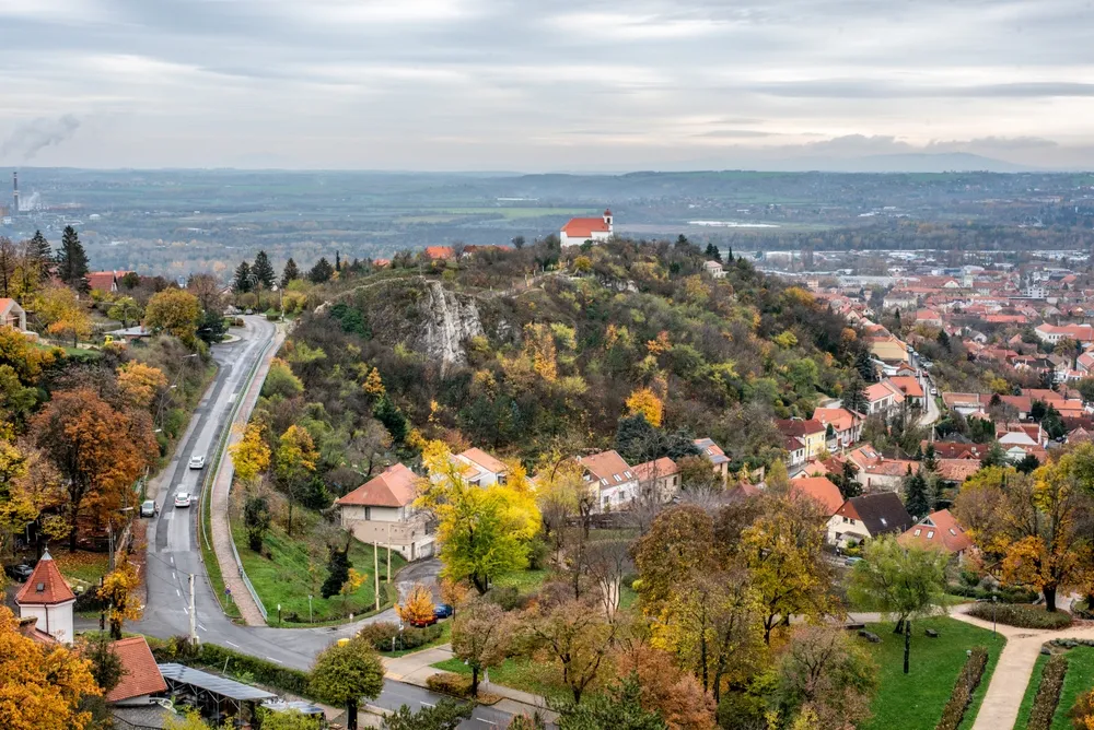 Mecseki Parkerdő
