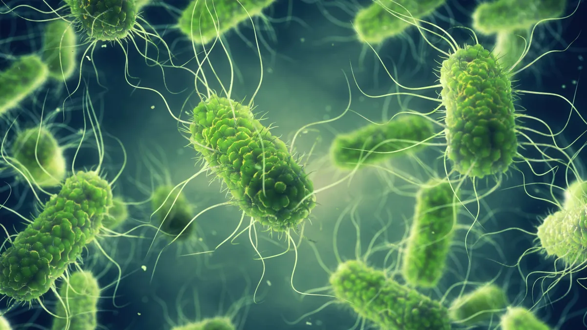 Ritka agyi rendellenességet diagnosztizáltak egy család négy kislányánál. A testvérek közül többen műtéten estek át a betegség miatt.