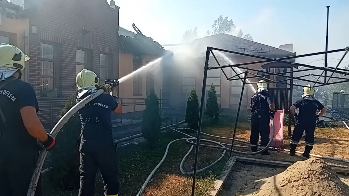 tűz