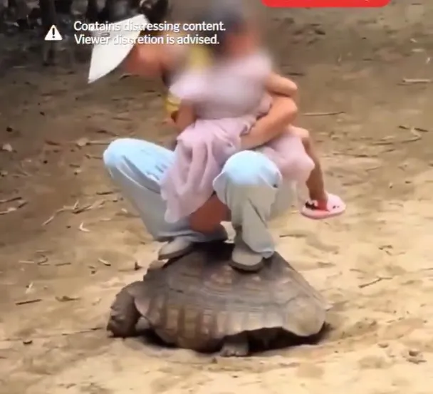óriásteknős