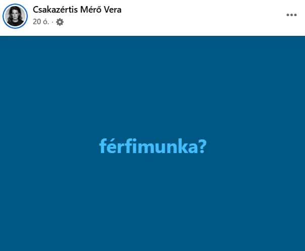 Mérő Vera fennakadt Magyar Péter megfogalmazásán, később Forsthoffer Ágnes is hozzászólt a bejegyzéshez (Forrás: Facebook)