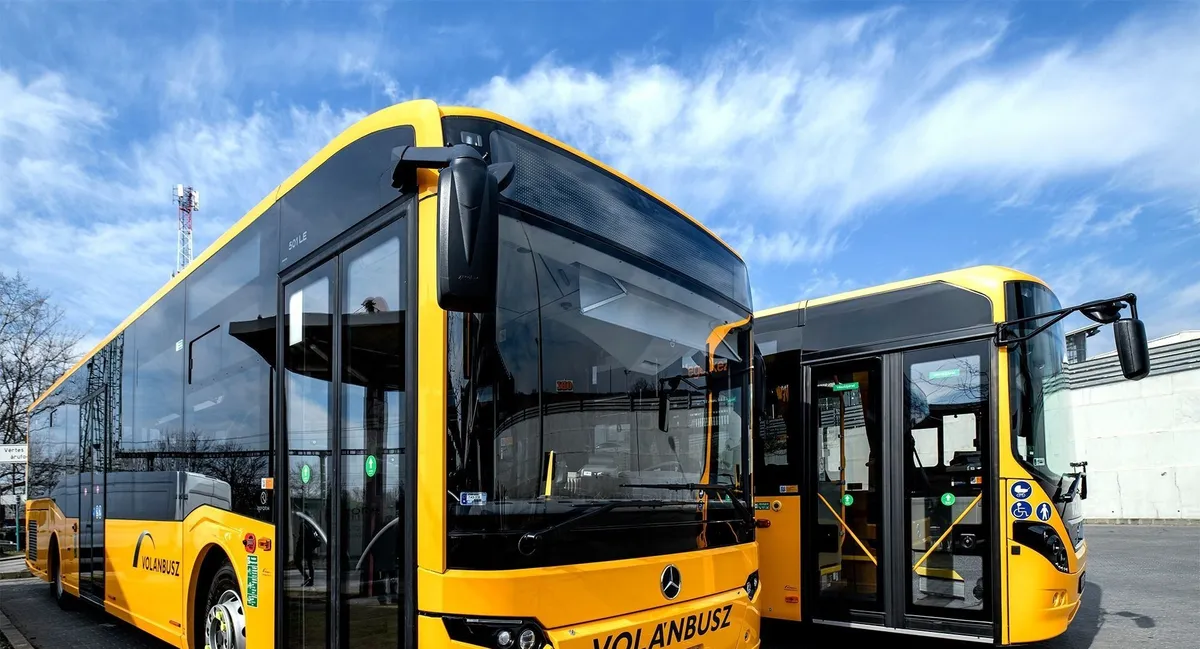 Reform busz