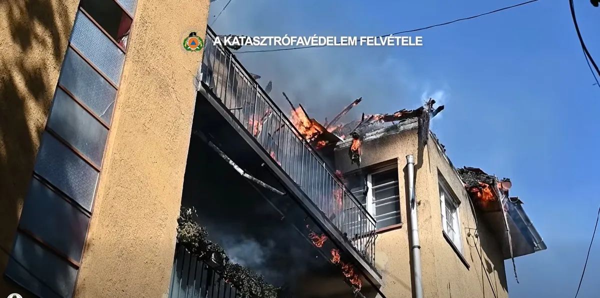 tűz