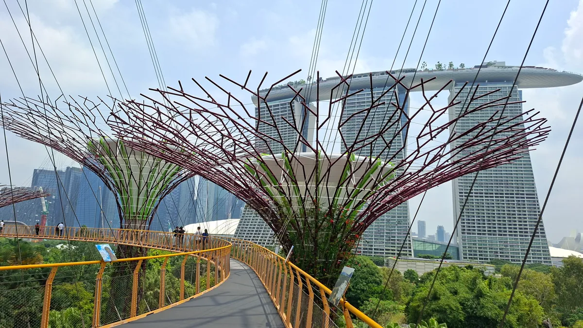 A szingapúri Gardens by the Bay egyik Supertree-jének a tetején.