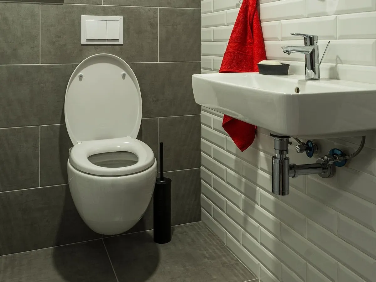 A WC lehúzásakor aeroszolok és baktériumokat hordozó részecskék kerülhetnek a levegőbe, akár 163 centiméter magasra és 20 másodpercre.