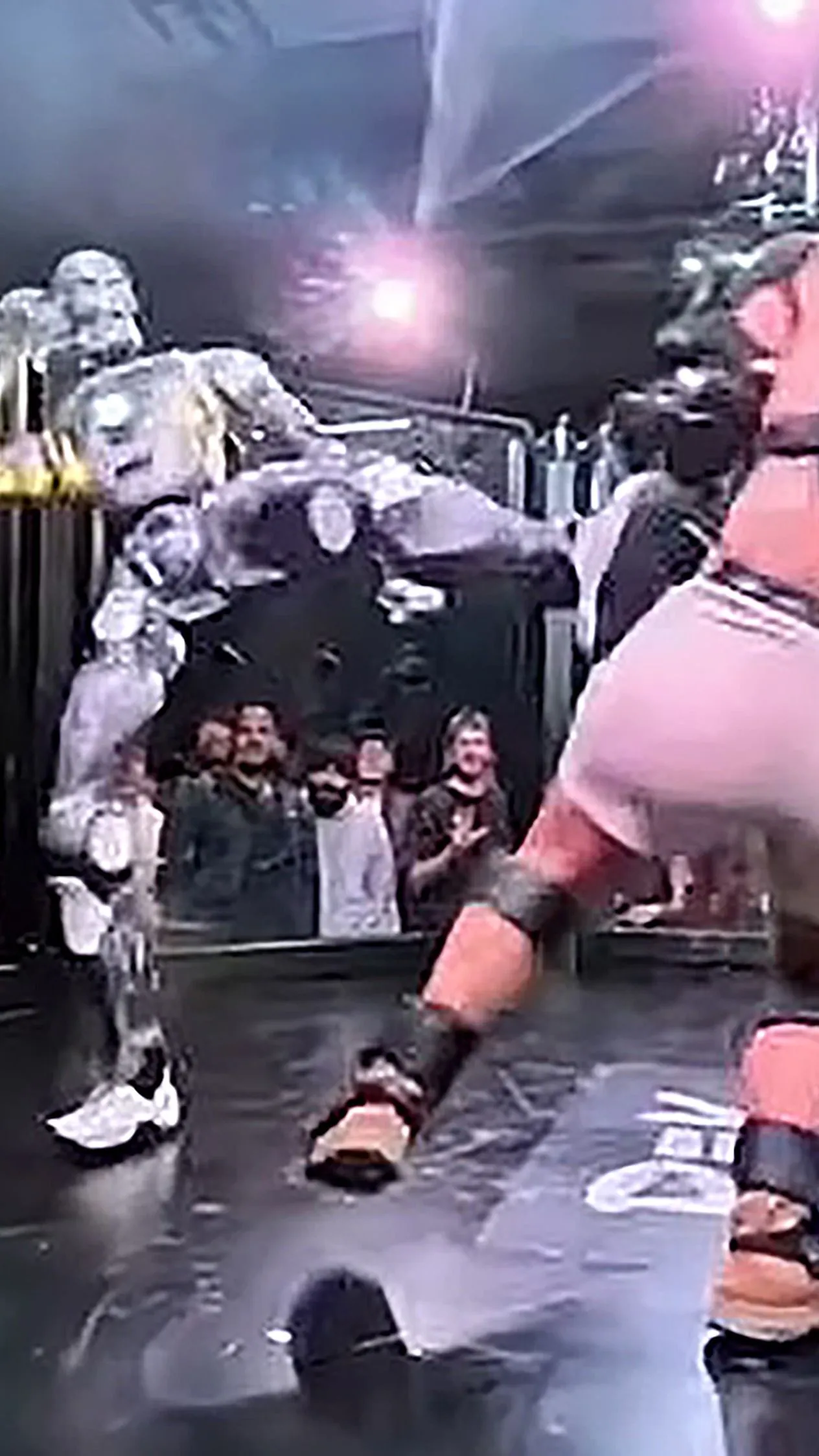 Kiütéssel zárult az ember-robot bunyó