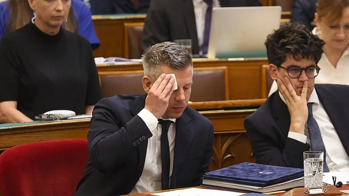 Fidesz