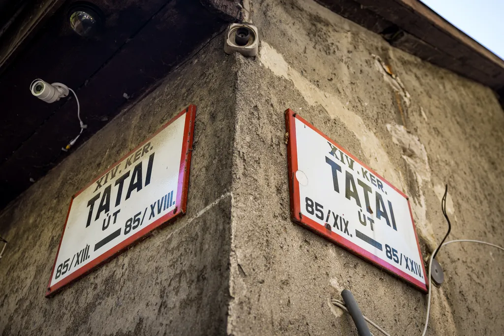 2026.09.13
Tatai úti riport