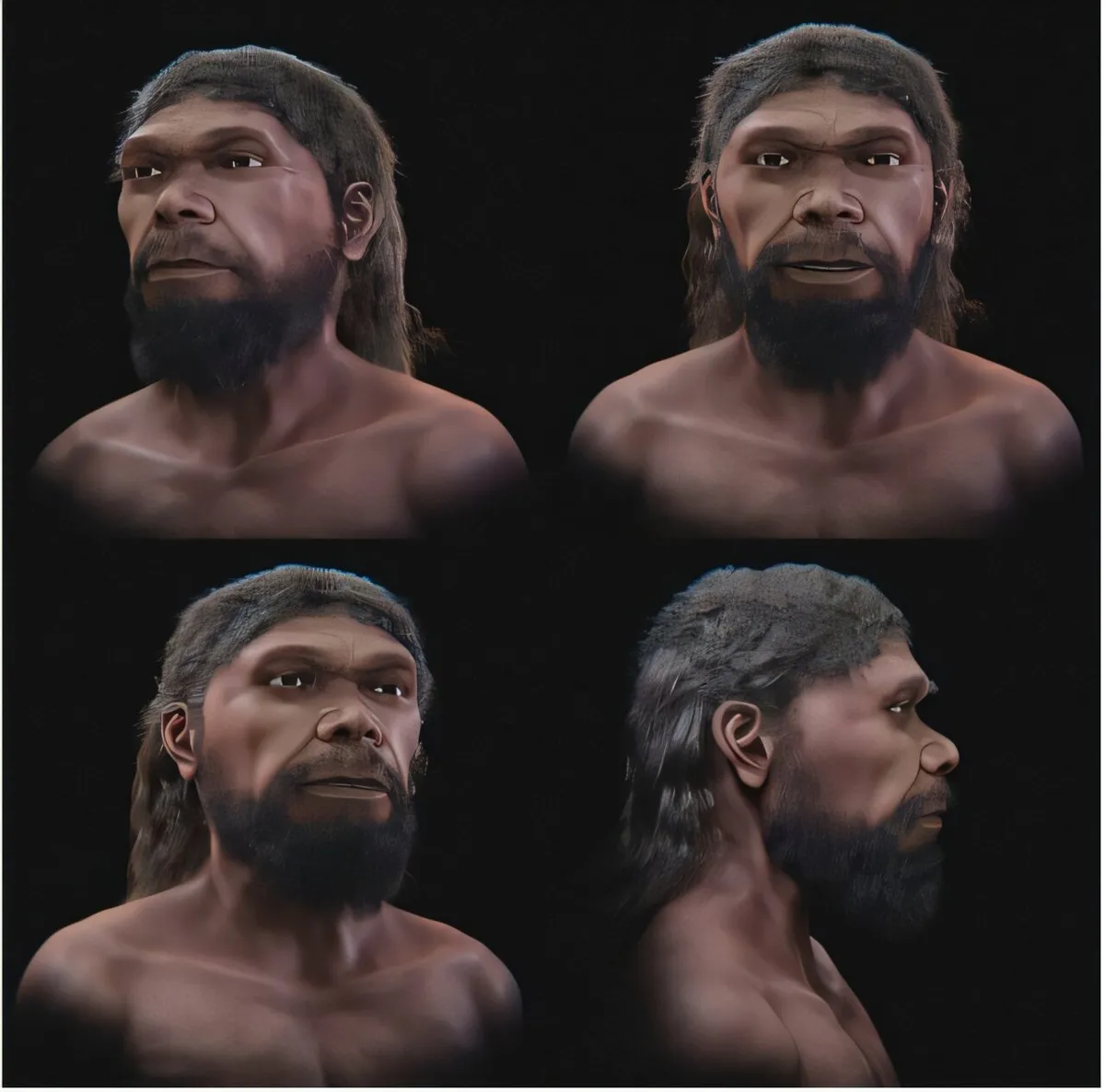 A korai Homo sapiens arcrekonstrukciója