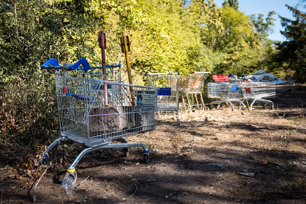 2026.09.13
Tatai úti riport