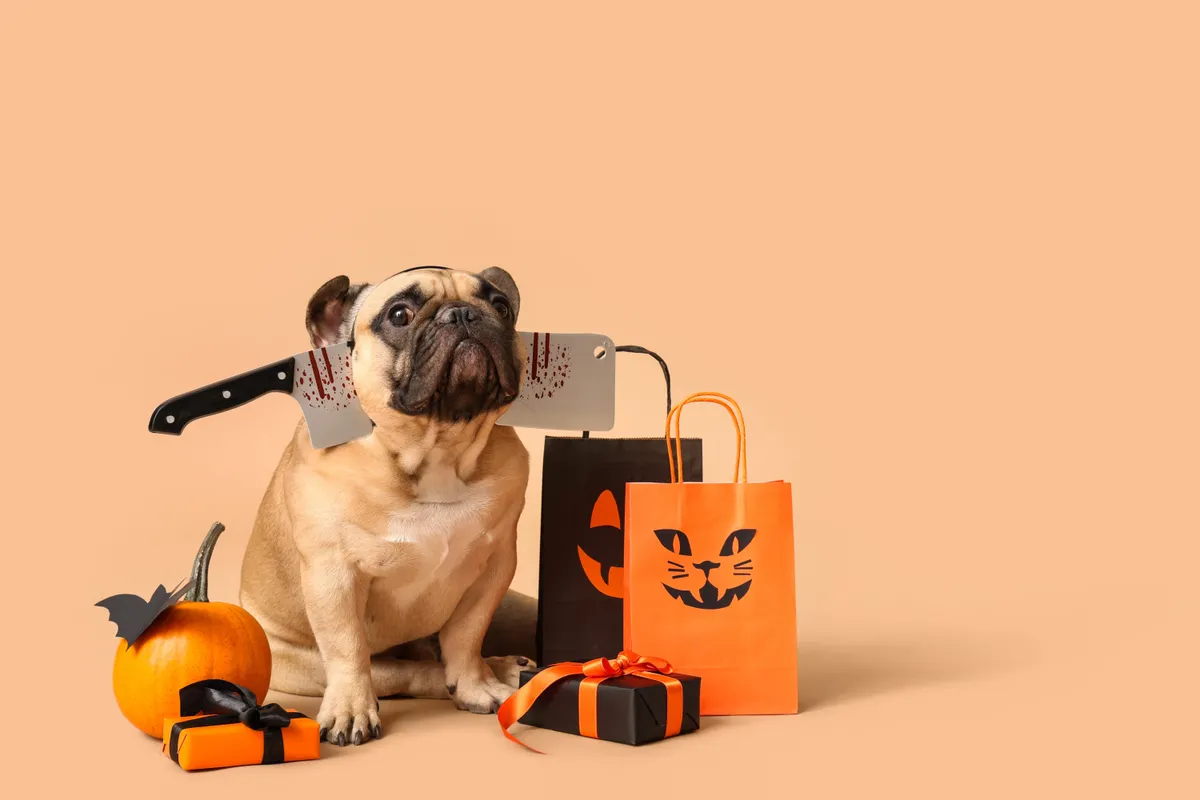 Fejszés bulldog