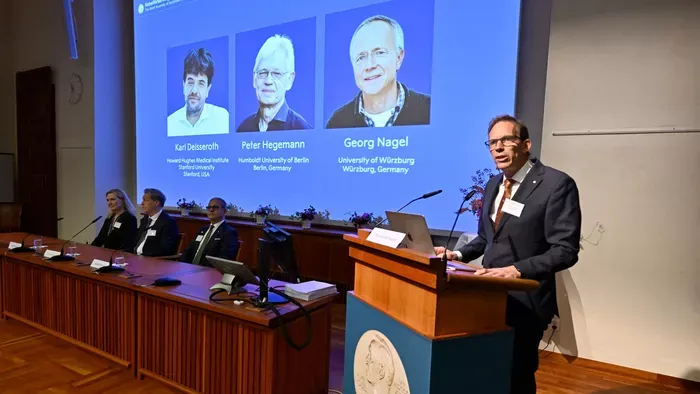 Megtalálták az idegsejtek kapcsolóját, Nobel-díjat kaptak érte