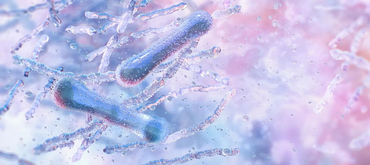 A probiotikumok hat hónapos szedése során csökkent az Alzheimer-kór egyik vérből kimutatható jelzőanyagának szintje