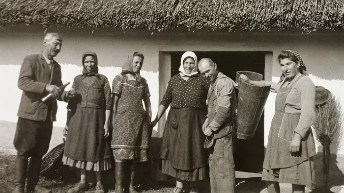 Kacorok és puttonyok: így dolgoztak szüretkor az asszonyok – Retró galéria